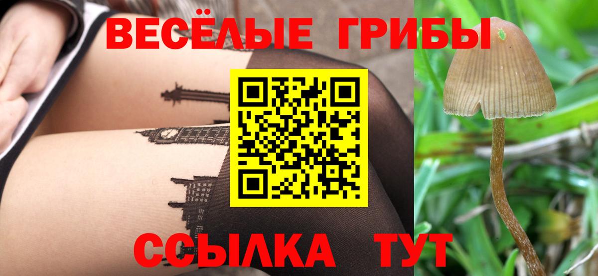 Тихорецк  Галлюциногенные грибы прущие грибы  Псилоцибиновые грибы Cubensis  Вход с VPN 